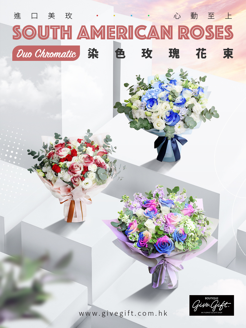  double colour roses duo chromatic 双色玫瑰 染色玫瑰